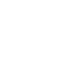 Cele mai bune pachete dedicate de web hosting rapid și eficient cu tehnologie SSD SSD Performance hosting