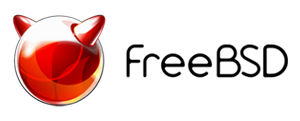 Rețele securizate pentru protecția infrastructurii IT Network security powered by FreeBSD